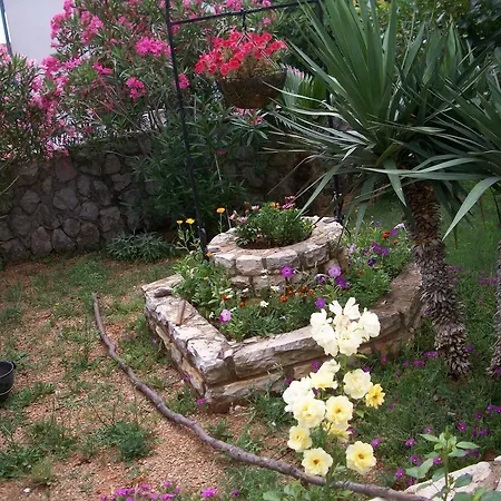 Paradise *